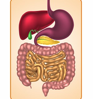 Gastroenterology